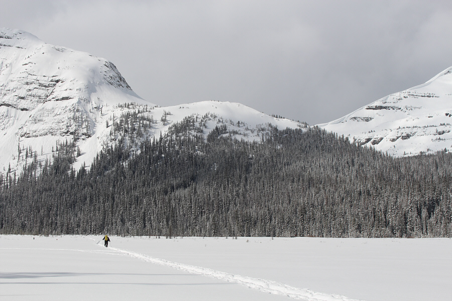 Mike is even switching climbing skins!