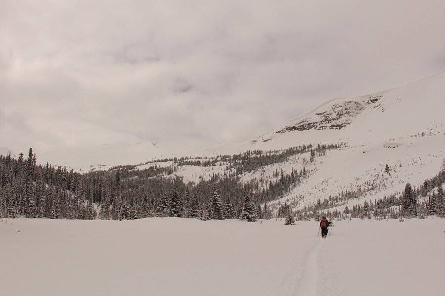 On our way back, we really missed out on the great ski slopes at right!