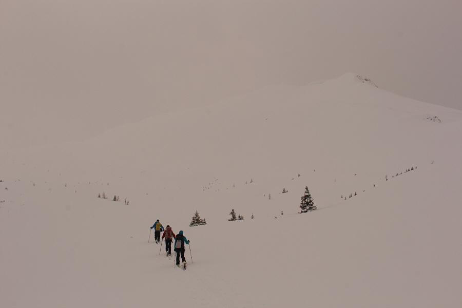 We should have tried skinning directly up Burstall Pass Peak.