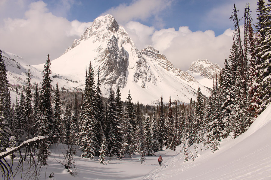 I'm still kinda choked that we took such a lame route back down...