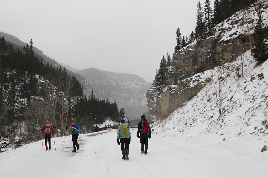 Maybe we should ditch the skis?