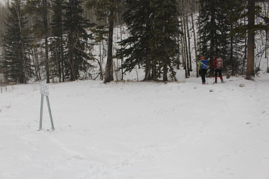 Also, look for an orange marker in the trees.