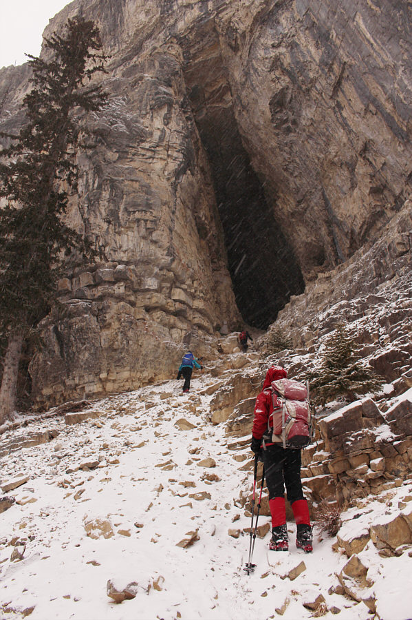 Watch out for killer rabbits!