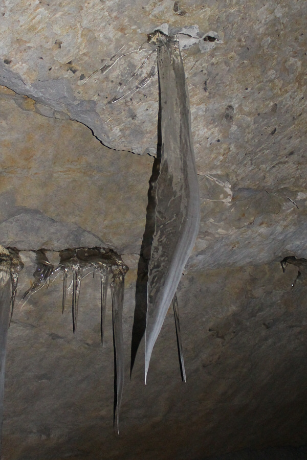 Try not to stand underneath!