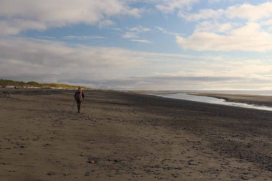 Hmmm...kinda smells fishy around here...