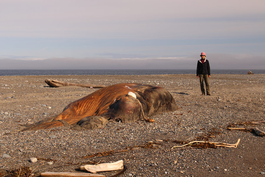 Yep, just as stinky as the first one!