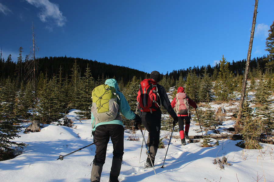 Not the nicest approach, but it's not bad either!