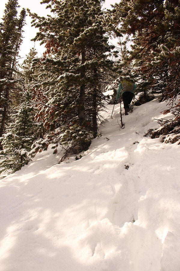 Microspikes would help here as the terrain is very slippery.