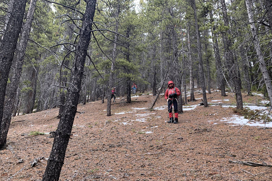 Too bad this was short-lived though...