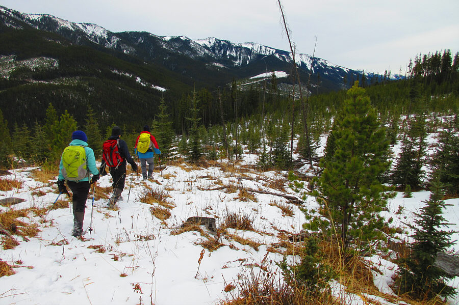 Not as bad as it sounds!