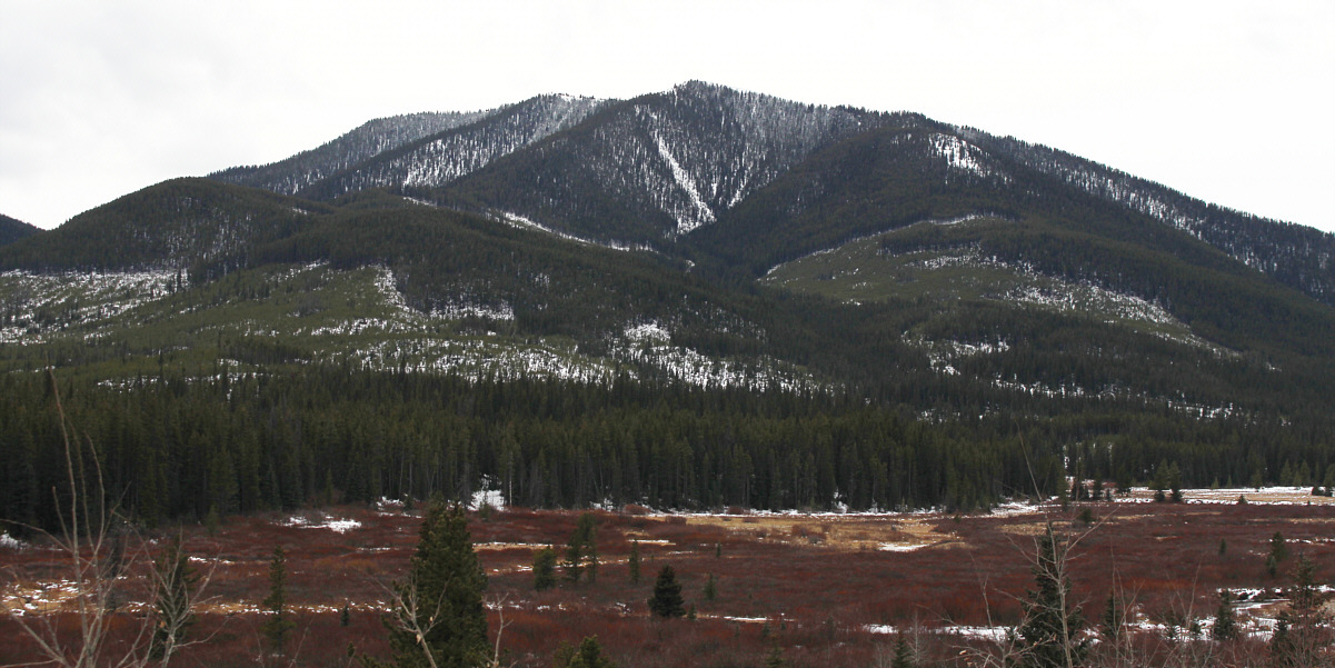 We came, we saw, we climbed it!