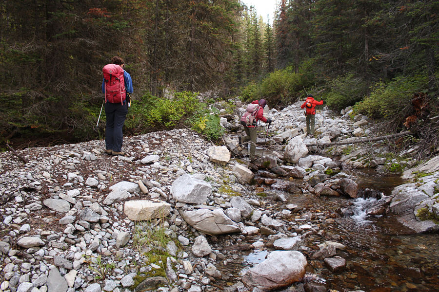 Mostly just procrastinating here before the inevitable bushwhack!