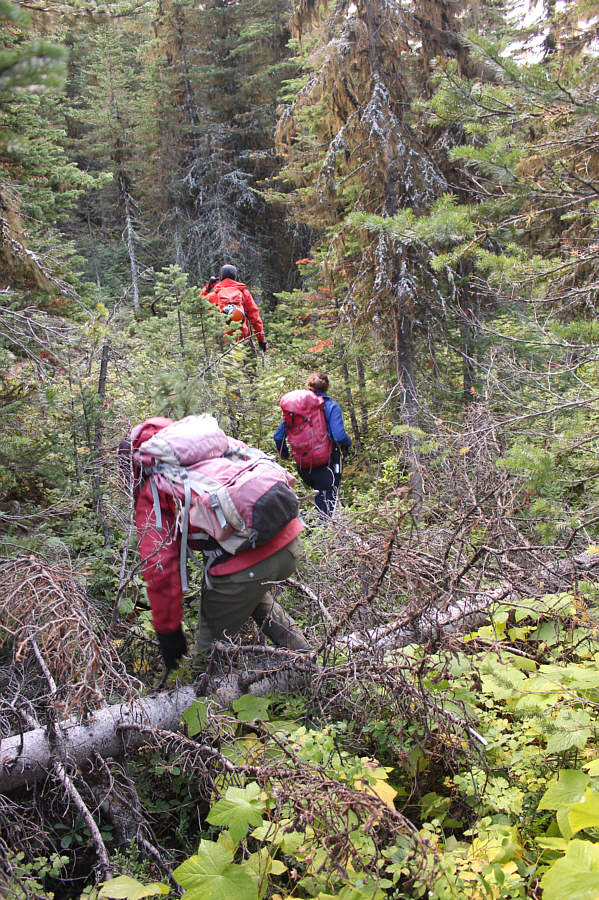 The bushwhacking was actually not bad.