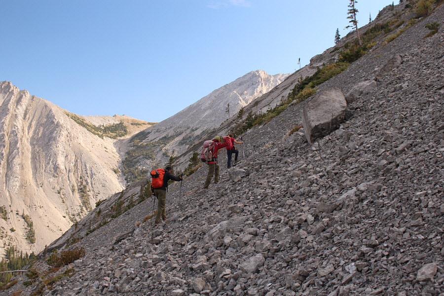 Time to put on the helmets and get to work!