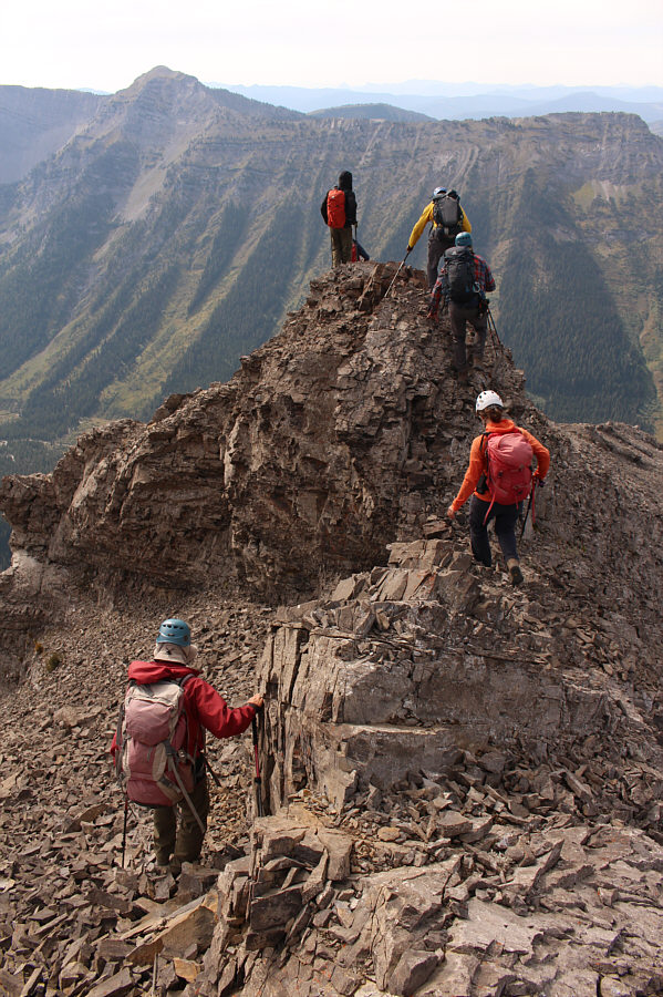 It's like a conga line!