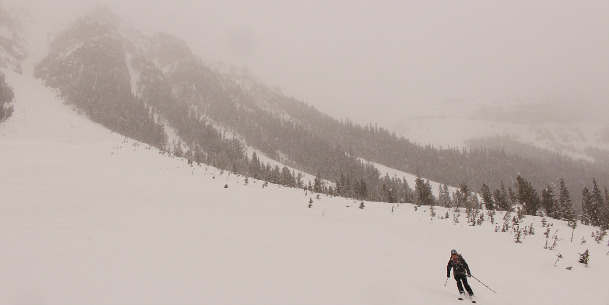 There's our "yo" for the day!