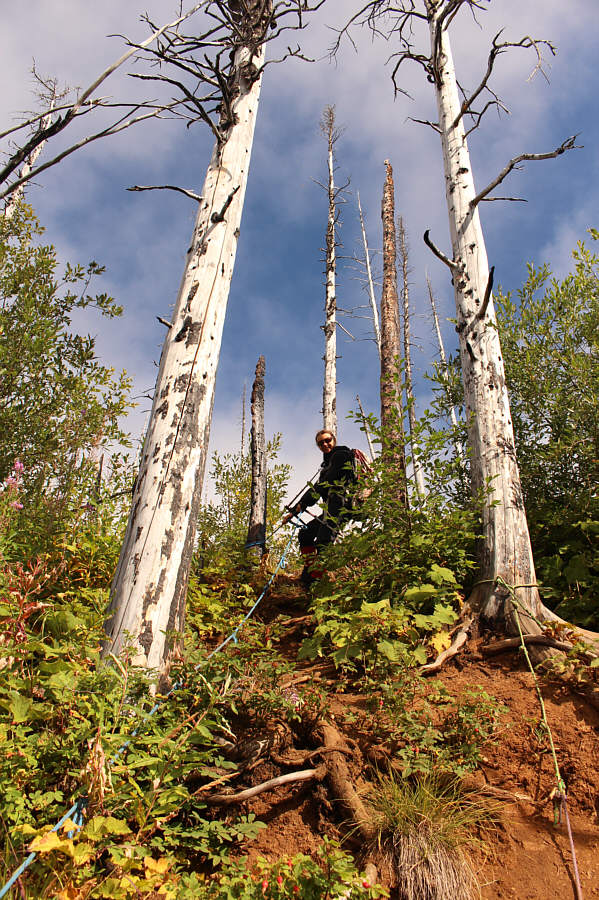 Not absolutely necessary but they're there if needed.