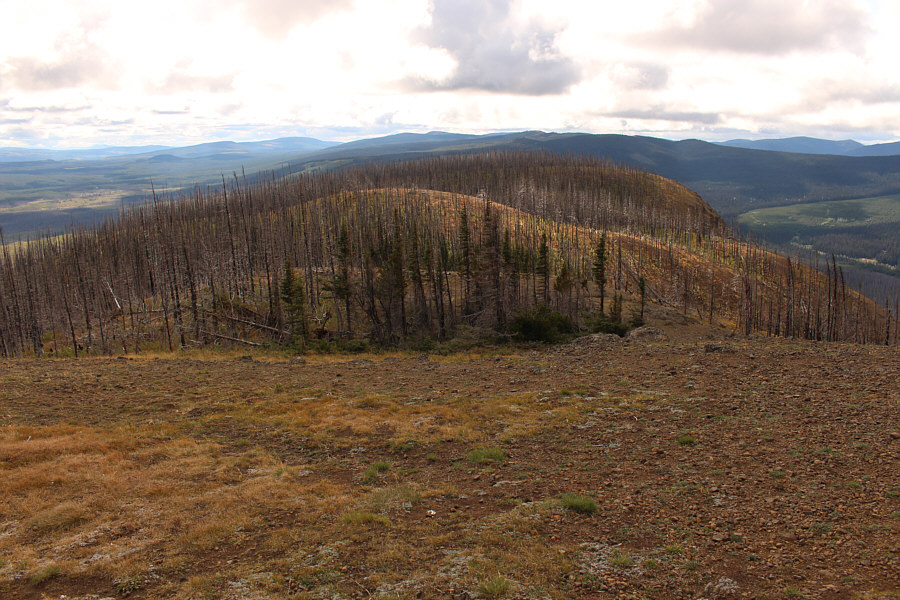 Definitely the boring side of the mountain!