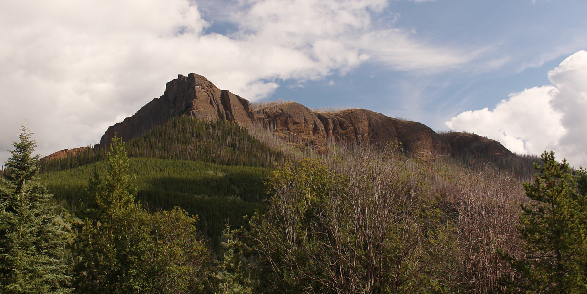 Can you spot the three "noses"?