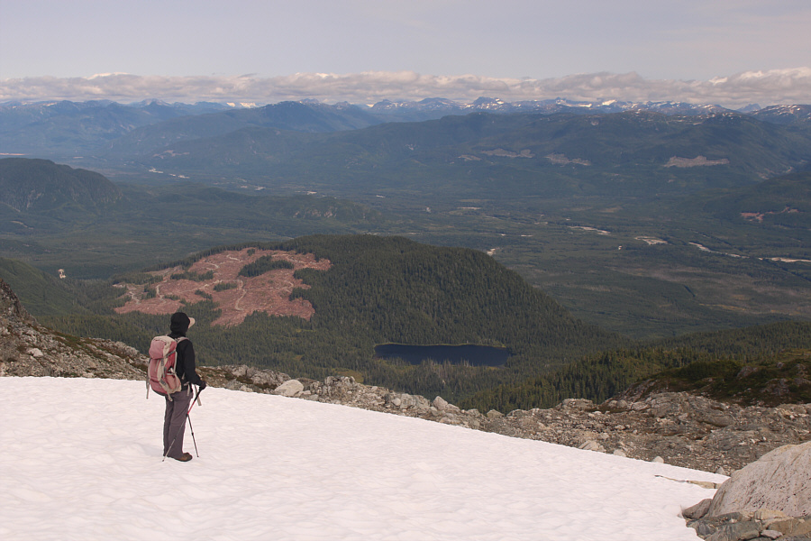 Lots of future exploration here...I hope!