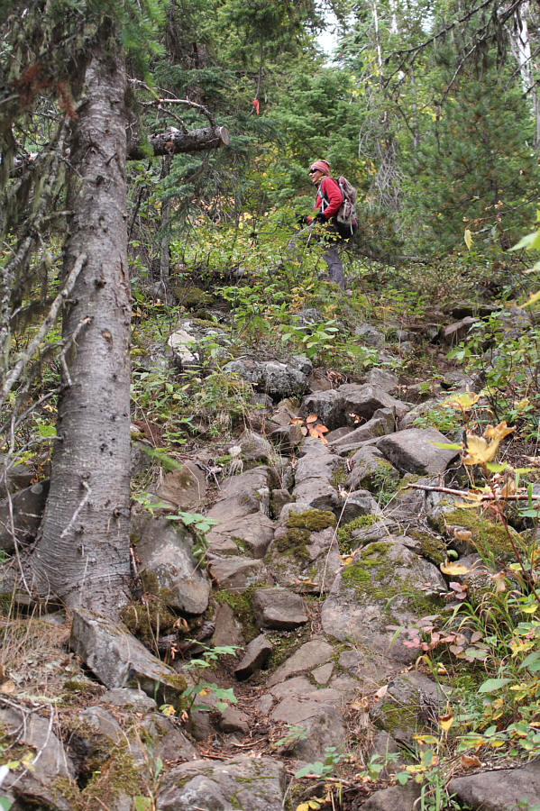 Better than bushwhacking!