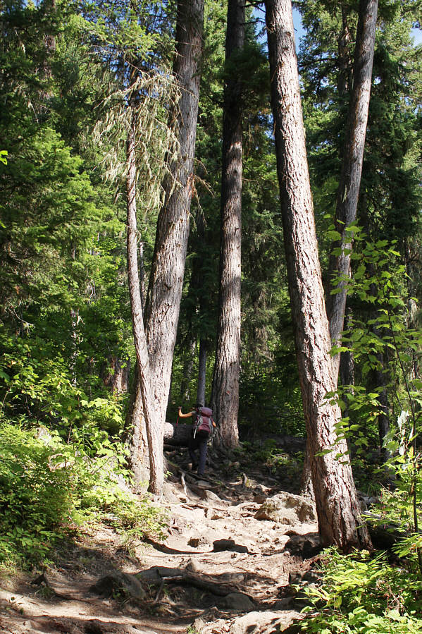 This is a very popular trail.