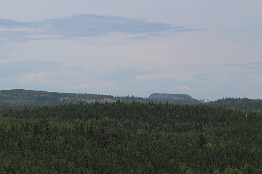 Looks more like a waffle maker than a coffee pot!