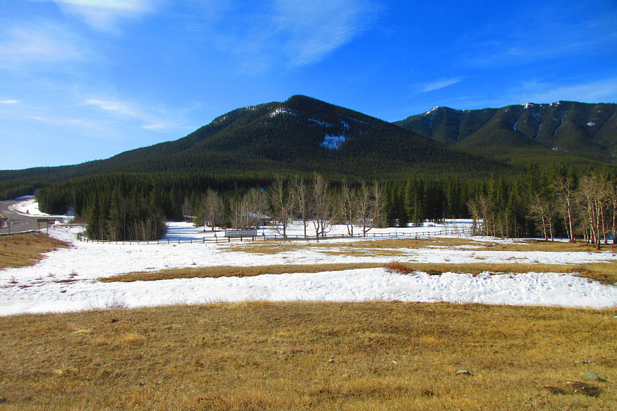 Looks like a forested hill with no views from this angle!