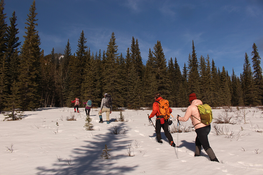 Luckily the snow wasn't too deep here!