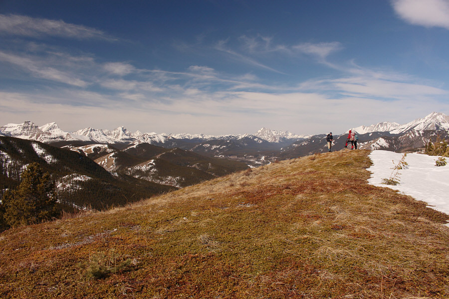 Amazing reward for very little effort!