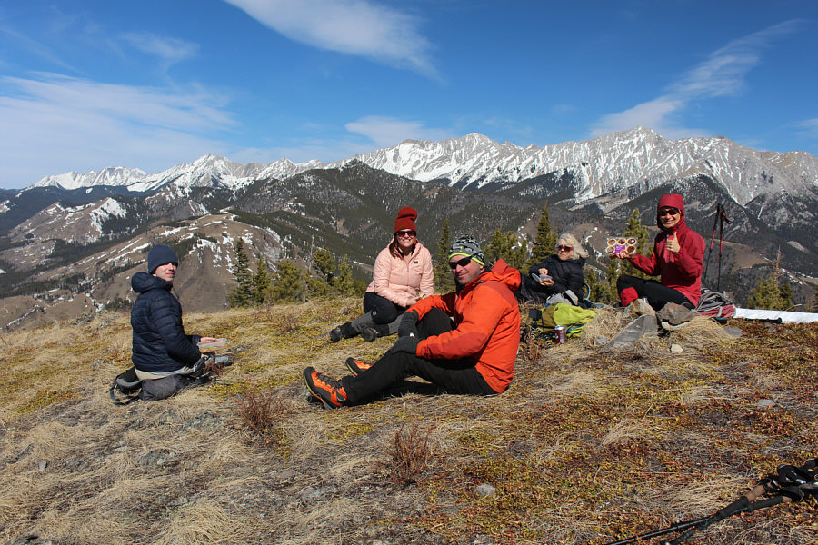 None of us picked up any that I know of, but this would be prime tick habitat!