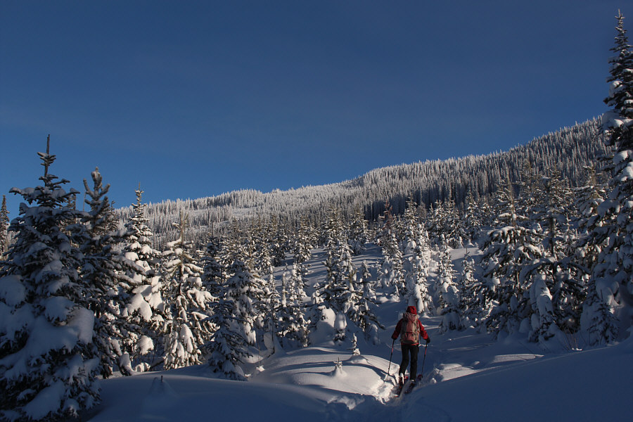 This all looks familiar!