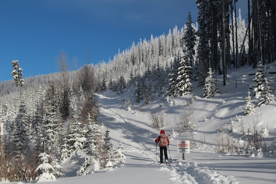 Does an e-bike count?