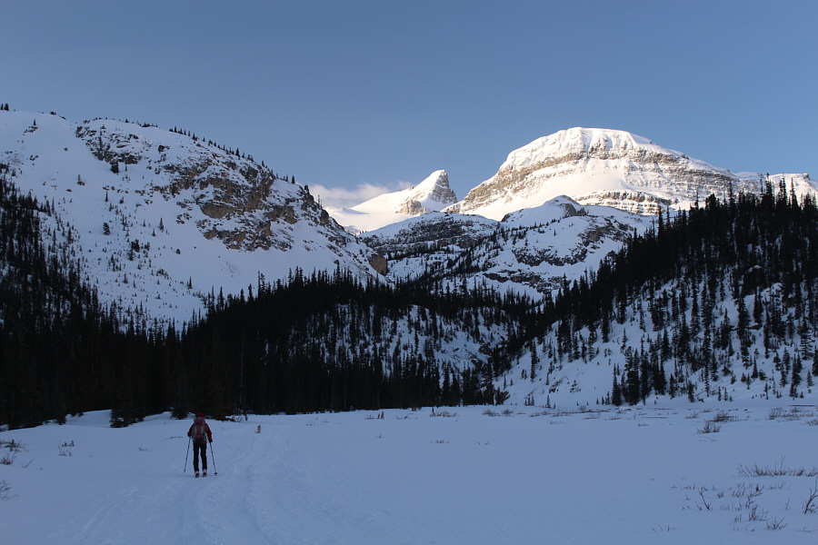 Just follow the skin tracks!