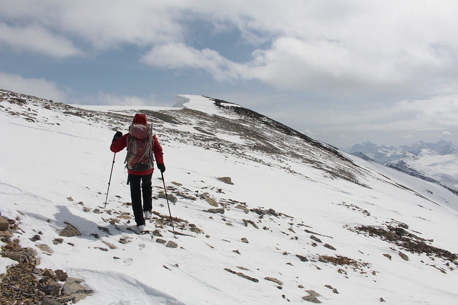 Still not sure if this was the highest point, but at least there was a survey marker here.