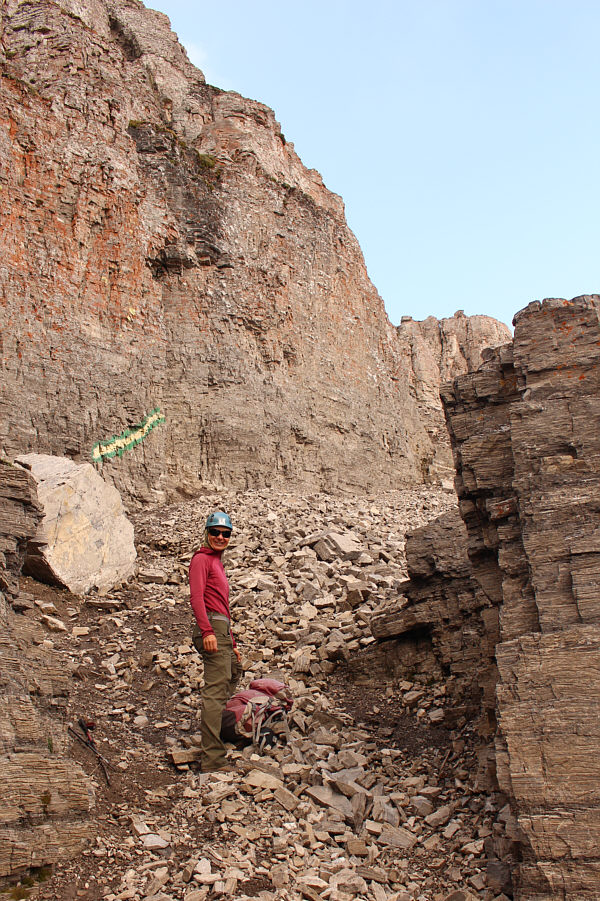 Utterly unnecessary!