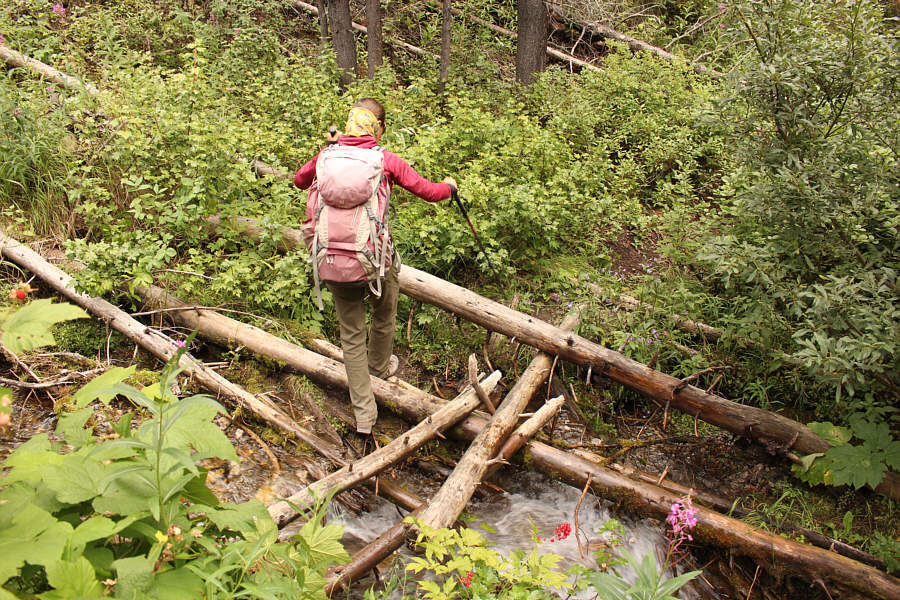 Last obstacle of the day!