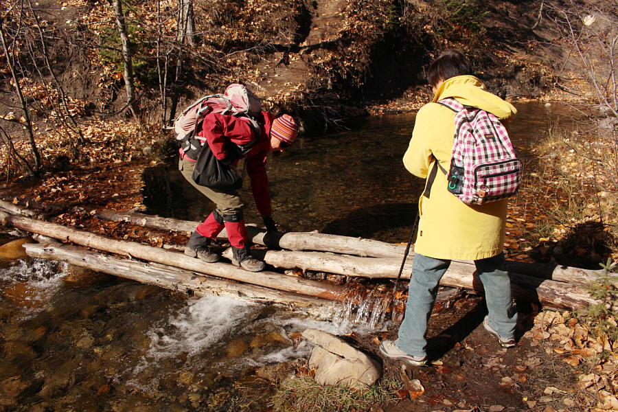 While carrying my mom's iPad even!