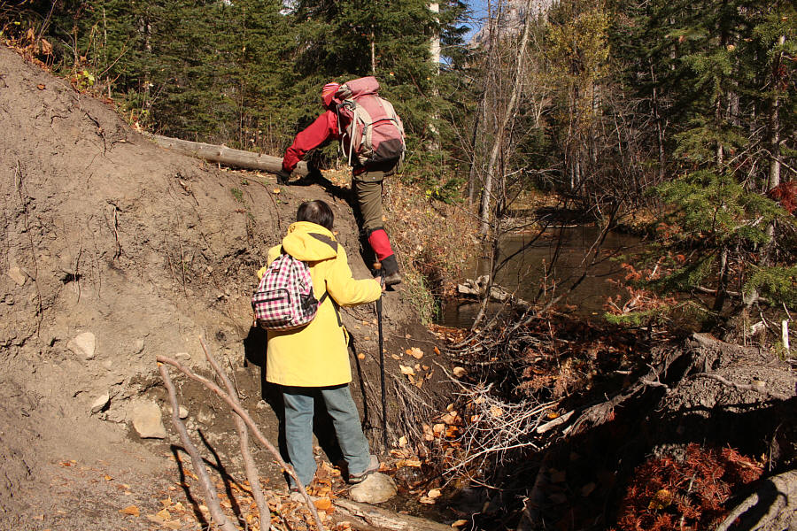 My 84-year old mom is gonna scramble up this??