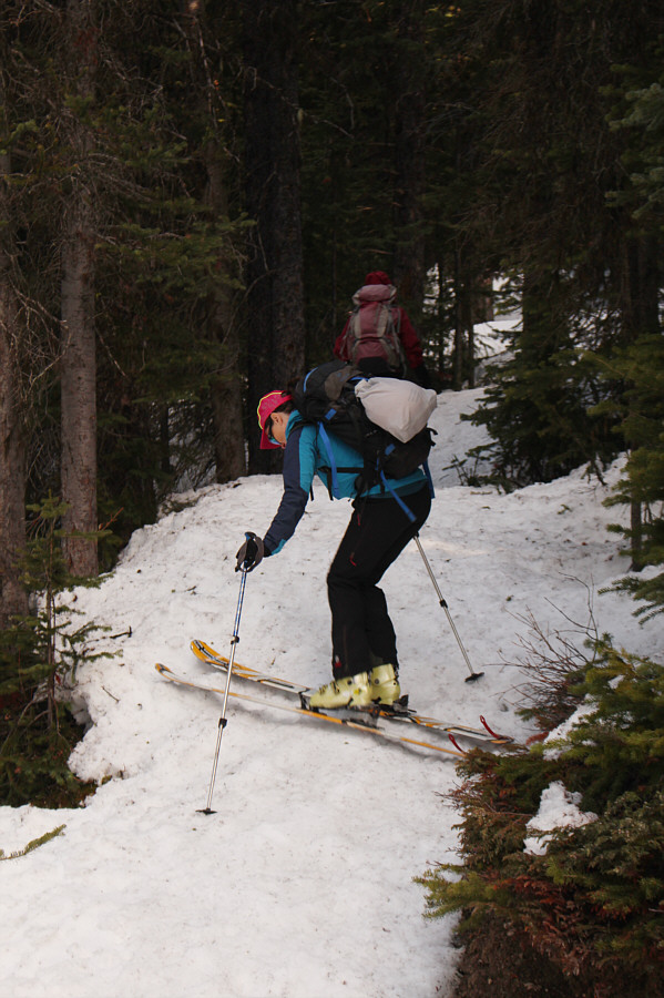 Ski crampons would work too.