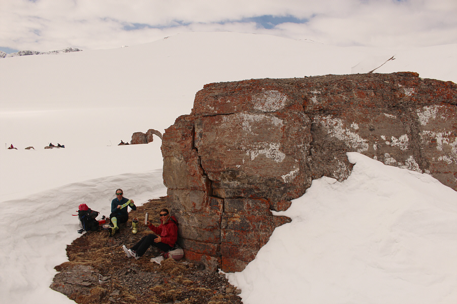 Careful! The rocks are used for both lunch and peeing!