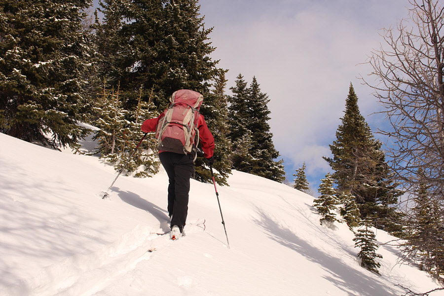 I still can't believe the previous skiers didn't bother to go all the way to the top!