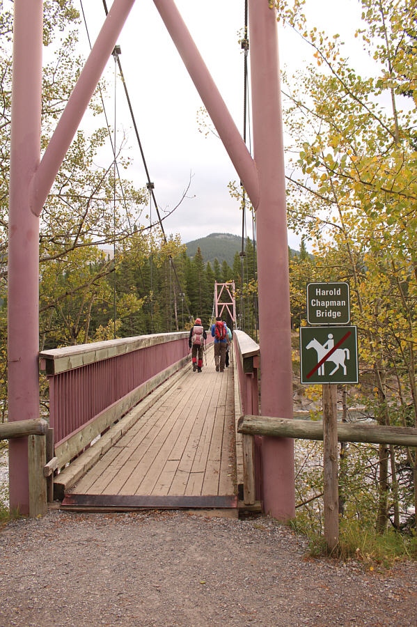 Likely the only spot around Little Elbow where you won't step in horse poop!