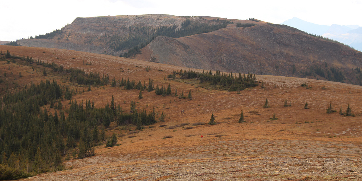 Thankfully, we don't need to revisit Old Forgetmenot on this day!