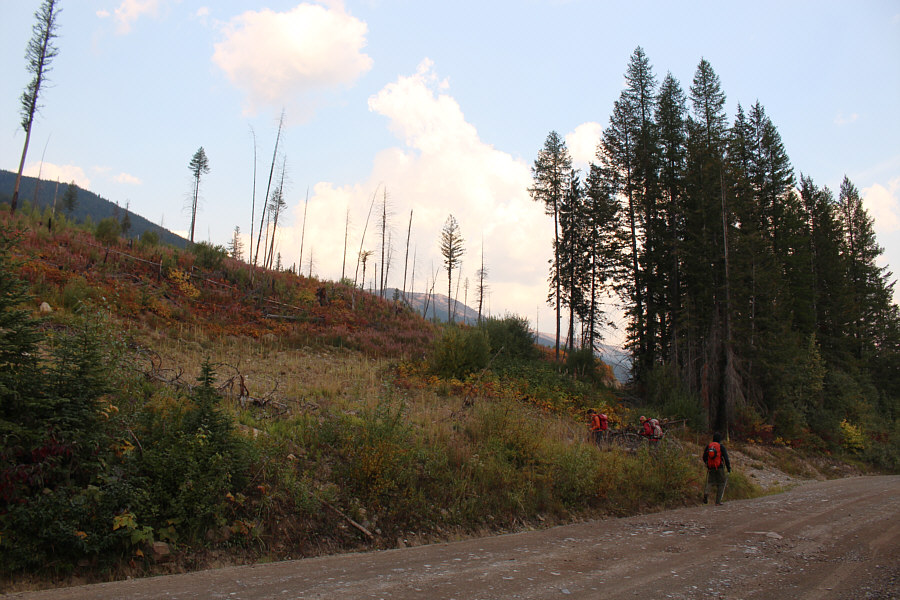 An inauspicious starting point!