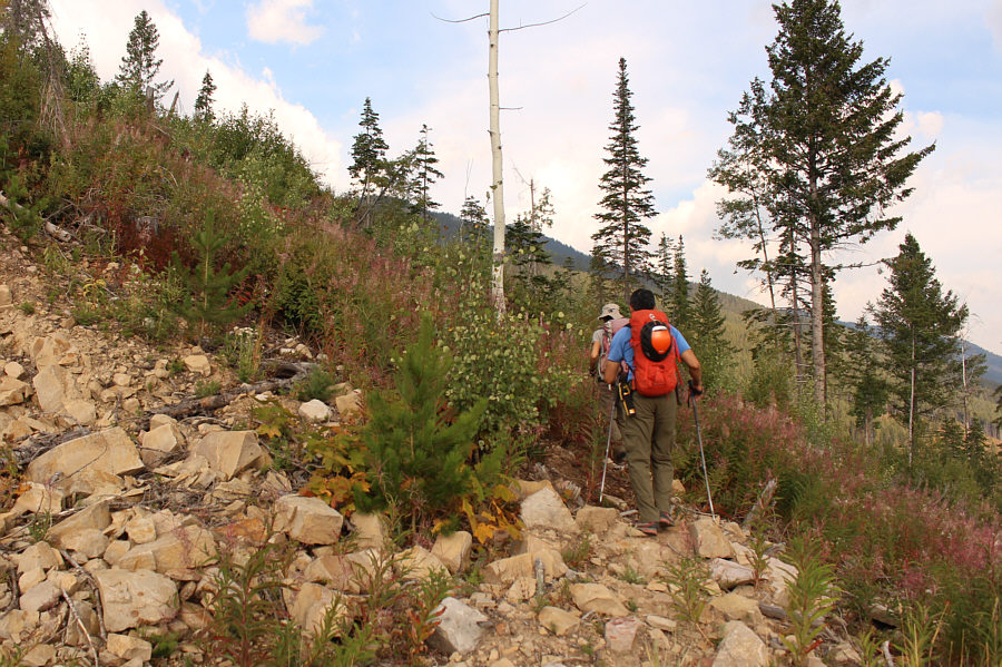 Taking a leap of faith into the bush!
