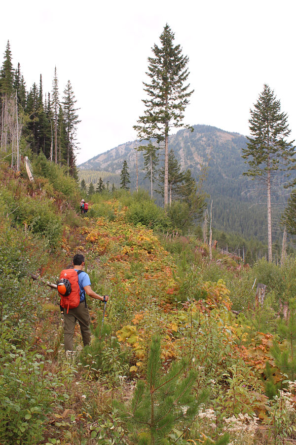 Easier to hike than it looks...for now!