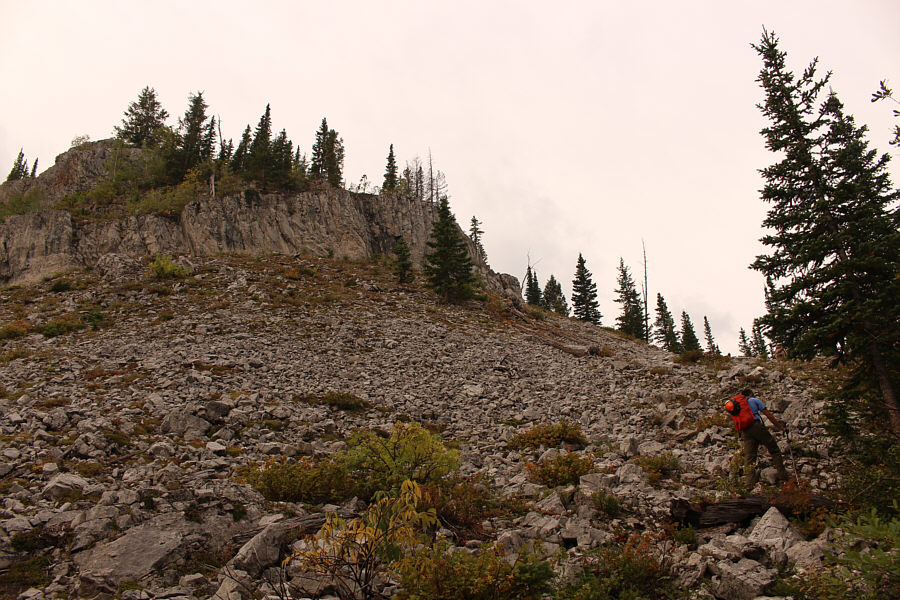 Scrambling opportunity!