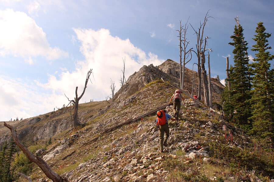 We can breathe easy now!