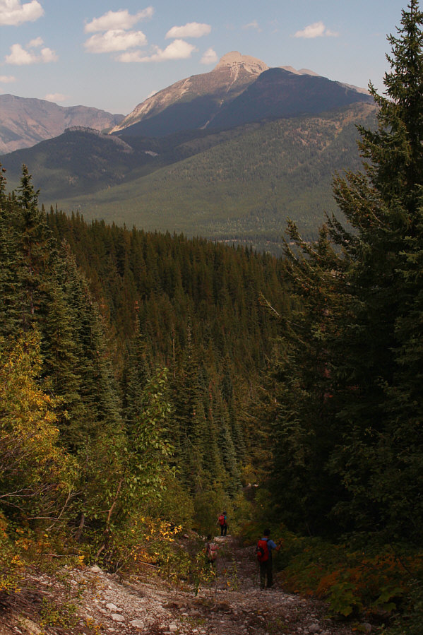 Second round of bushy road-bashing coming up!